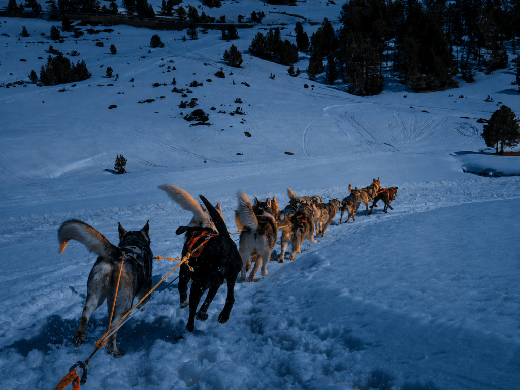 Big ambitions, small town: How Pyhäjärven Kehitys hunts for growth with Navigora