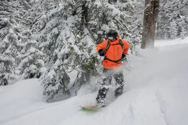 From 3,000 prospects to real partnerships: Lapland UAS’s story with Navigora